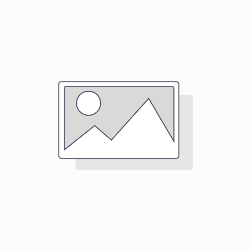 Repymec Business Intelligence